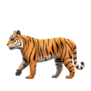 tiger appearance on Apple