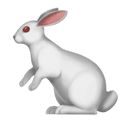 rabbit appearance on Apple