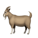 goat appearance on Apple