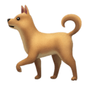 dog appearance on Apple