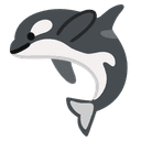 orca