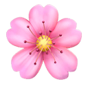cherry blossom appearance on Apple