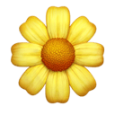 blossom appearance on Apple