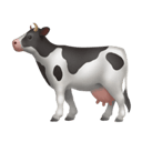 cow appearance on Apple