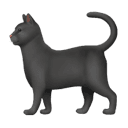 black cat appearance on Apple