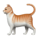 cat appearance on Apple