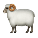 ram appearance on Apple