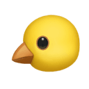 baby chick appearance on Apple
