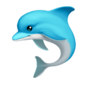 dolphin appearance on Apple