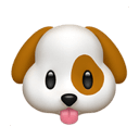 köpek yüzü ifadesinin Apple platformundaki görünümü