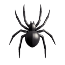 spider appearance on Apple