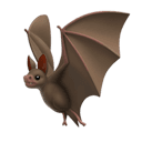 bat appearance on Apple