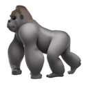 gorilla appearance on Apple