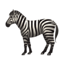 zebra appearance on Apple