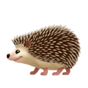hedgehog appearance on Apple