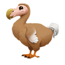 dodo appearance on Apple