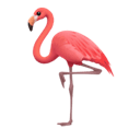 flamingo appearance on Apple