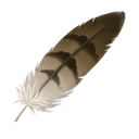 feather appearance on Apple