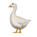 goose appearance on Apple