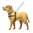 導盲犬 在 Apple 平台的外觀
